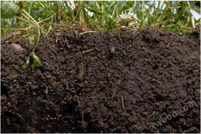 Picarro G2201-i（有机肥和化肥的施用促进了黄土高原农田土壤有机碳的积累）