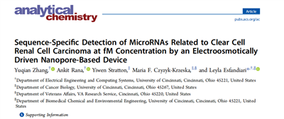 英文文献Sequence-Specific Detection of MicroRNAs Related to Clear Cell