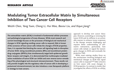 英文文献Modulating Tumor Extracellular Matrix by Simultaneous  Inhibition of Two Cancer Cell Receptors