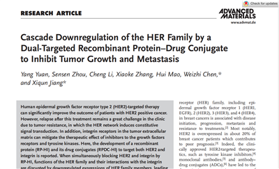 英文文献Cascade Downregulation of the HER Family