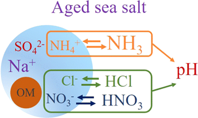 英文文献（Picarro G2108）Acidity of Size-Resolved Sea-Salt Aerosol in a Coastal Urban Area: Comparison of Existing and New Approaches